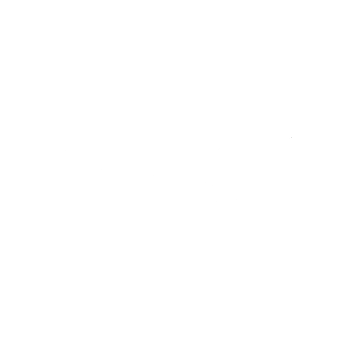 Regatta