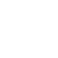 raccoon