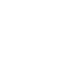 salomon